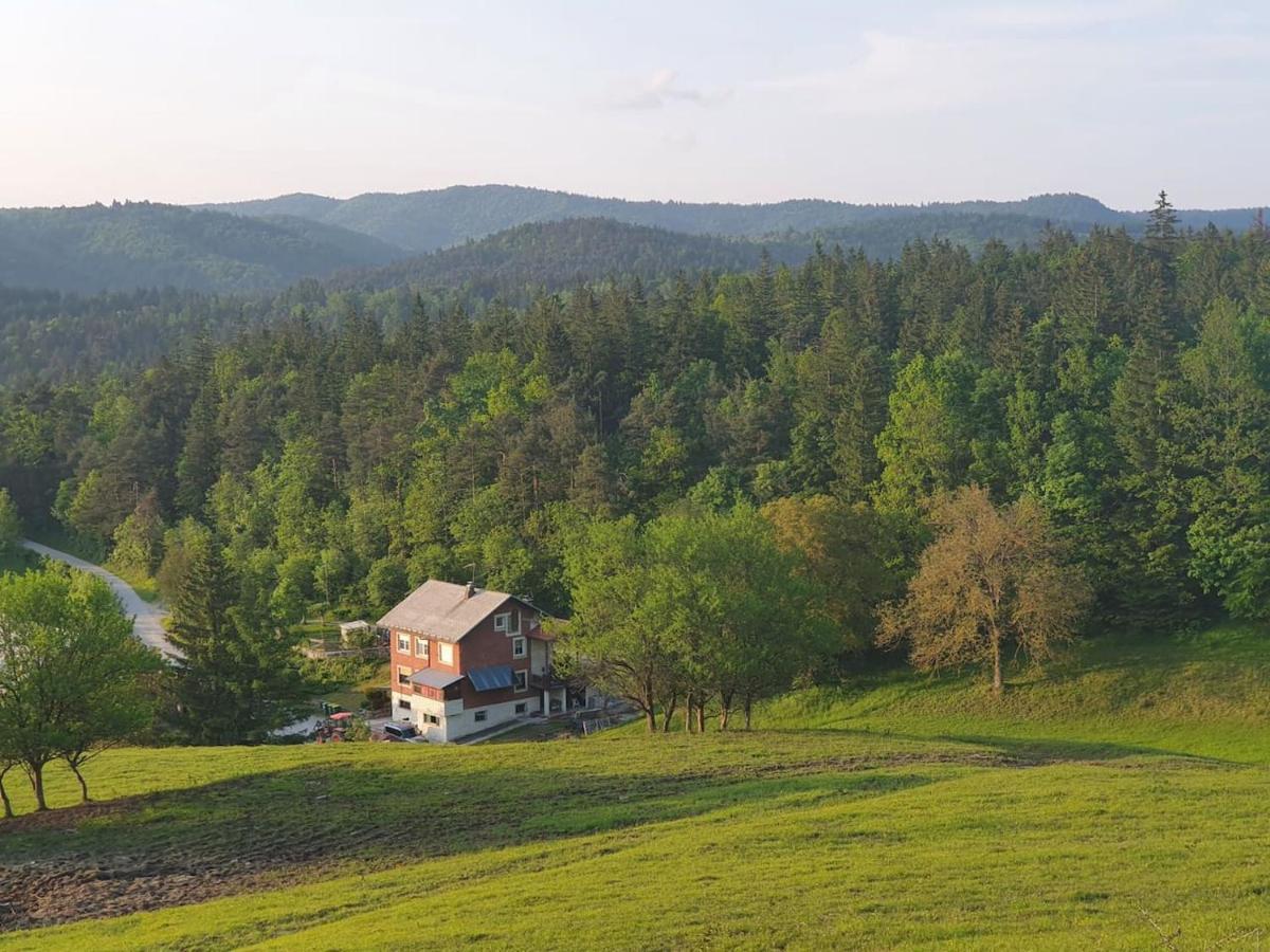 Apartma Narava Begunje pri Cerknici Extérieur photo