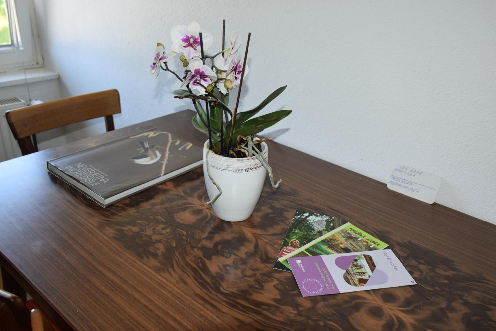 Apartma Narava Begunje pri Cerknici Chambre photo